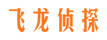 临颍市婚外情调查